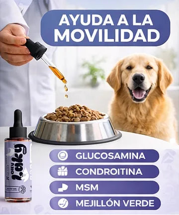 OXI LAKY ARTICULACIONES®: APOYO A LA MOVILIDAD PARA PERROS