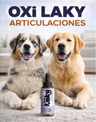 OXI LAKY ARTICULACIONES®: APOYO A LA MOVILIDAD PARA PERROS